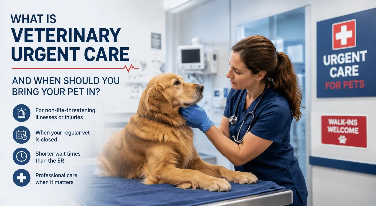 What Is Veterinary Urgent Care and When Should You Bring Your Pet In?