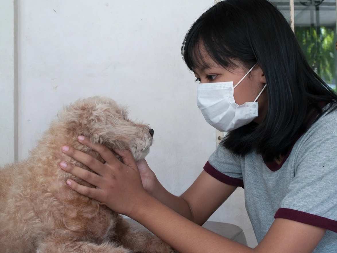 Common Allergy Symptoms In Pets veterinary newsletters