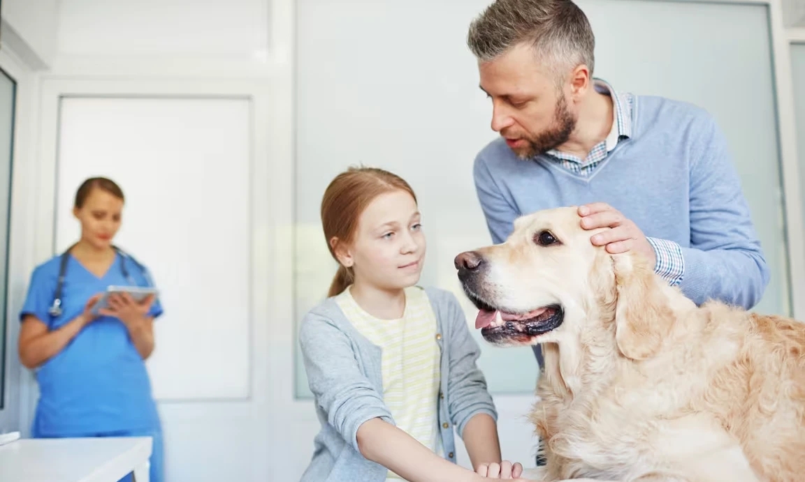 Is a senior pet month preventive care for aging pet veterinary newsletters