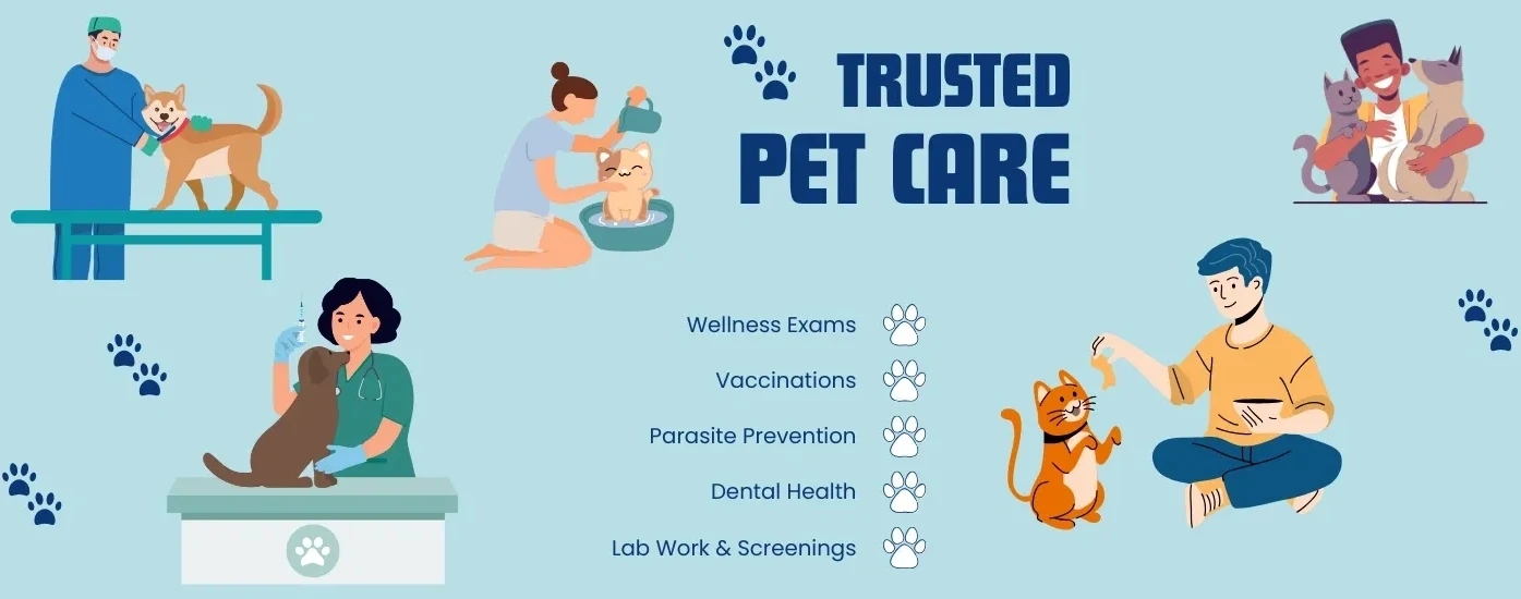 Early Detection, Lifelong Protection – Why Preventive Care Matters for Pets