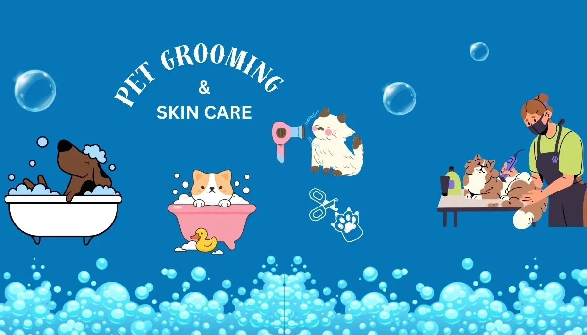 Grooming and Skin Care – More Than Just Looking Good
