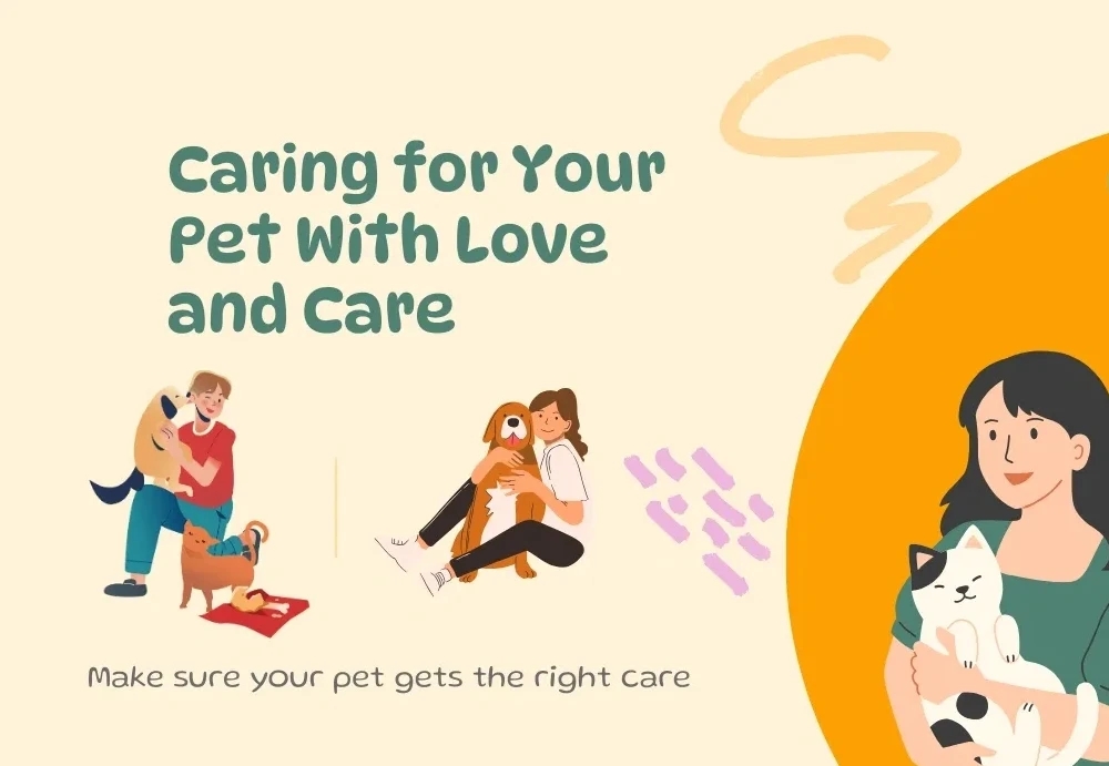 Senior Pet Care – Supporting Pets in Their Golden Years