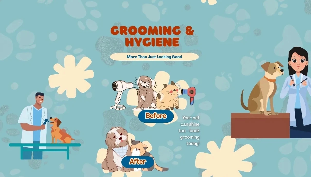 Grooming & Hygiene – More Than Just Looking Good