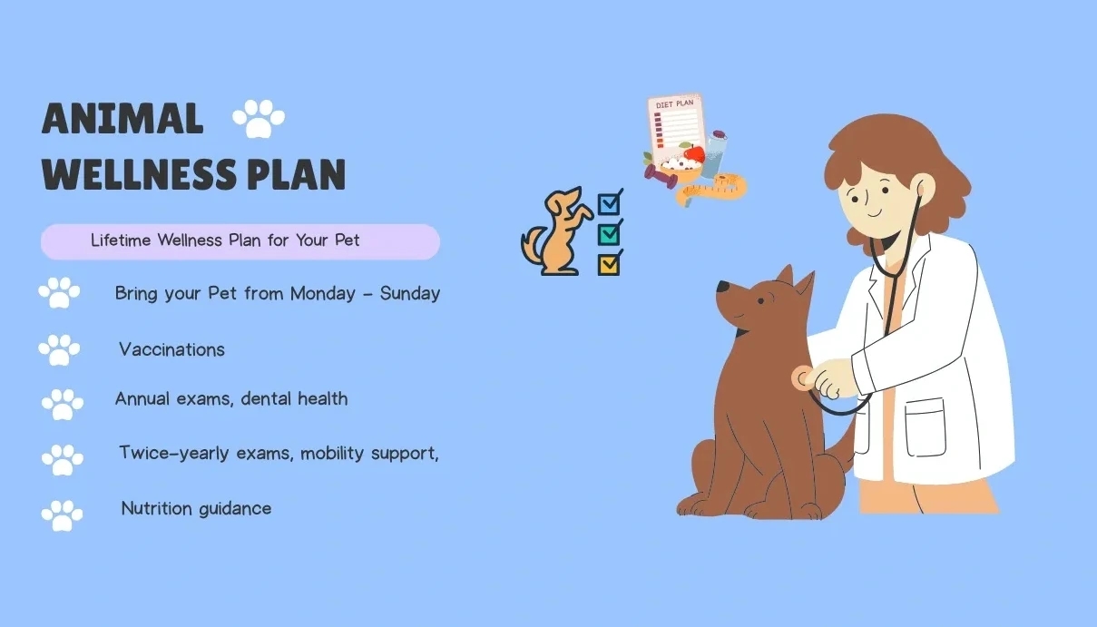 Building a Lifetime Wellness Plan for Your Pet